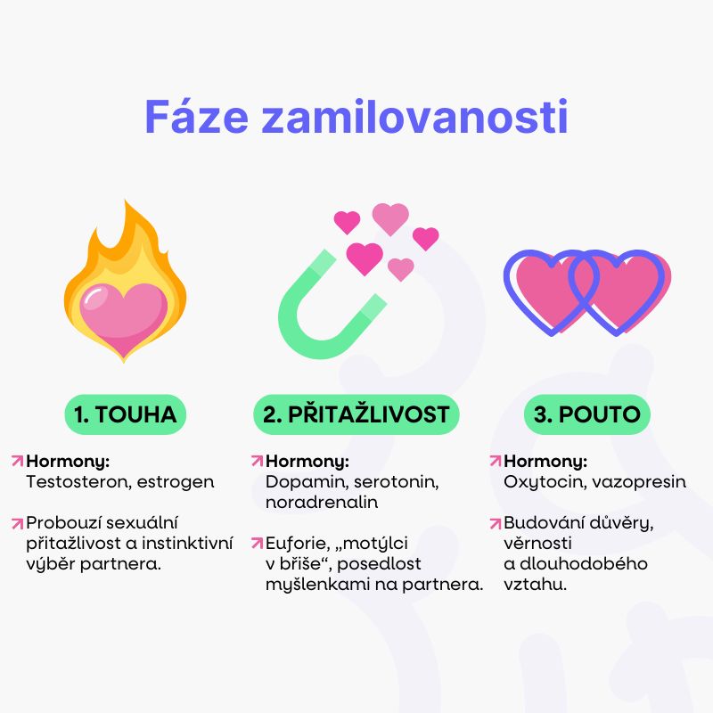 Fáze zamilovanosti